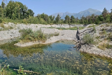 Lebensraum für Pioniere - Kieswerk Untervaz (gdl_792555675_image)