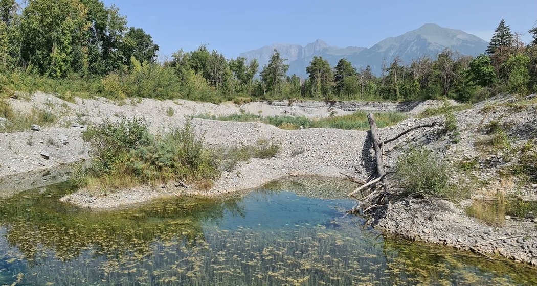 Lebensraum für Pioniere - Kieswerk Untervaz (gdl_792555675_image)