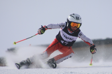 Ski Alpin Parallel-Riesenslalom (gdl_793125114_image)