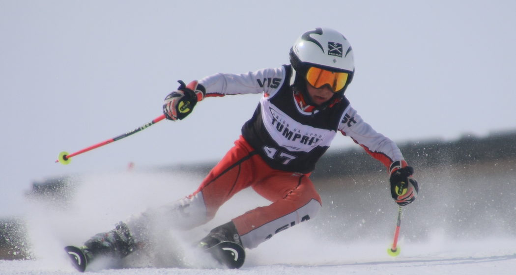 Ski Alpin Parallel-Riesenslalom (gdl_793125114_image)