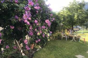 Giardino all'aperto (gdl_797323251_image)