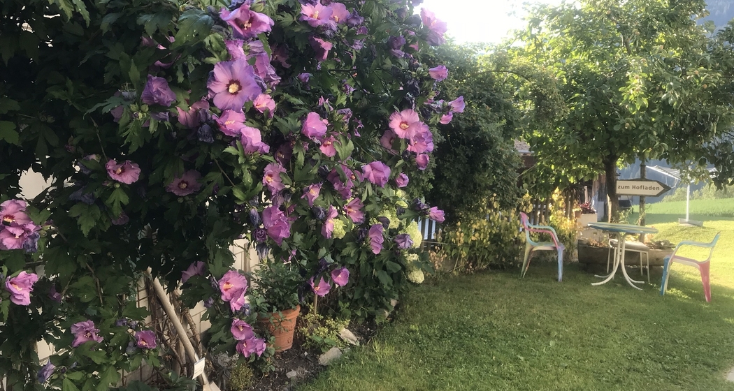 Offener Garten (gdl_797323251_image)