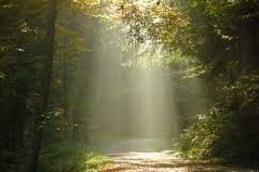 Konfirmationsunterricht (gdl_797625975_image)