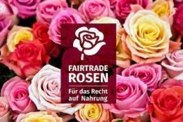 Confirmation Projet Rose Vente (gdl_797625981_image)