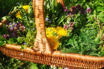 L’herbe sauvage rencontre la marmite sur le feu (gdl_801235513_image)