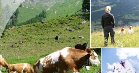 1. August-Brunch: Berggasthaus Lüsis (gdl_804745481_image)