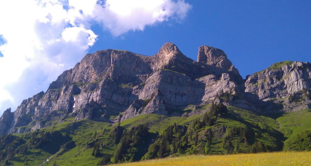 1. August-Brunch: Berggasthaus Lüsis (gdl_804745485_image)