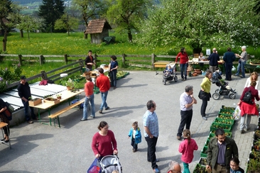Seedling market (gdl_805760635_image)
