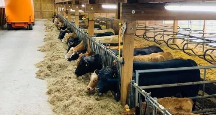 1. August-Brunch: Azienda Agricola Gianella (gdl_806027129_image)