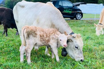 1. August-Brunch: Azienda Agricola Gianella (gdl_806027138_image)