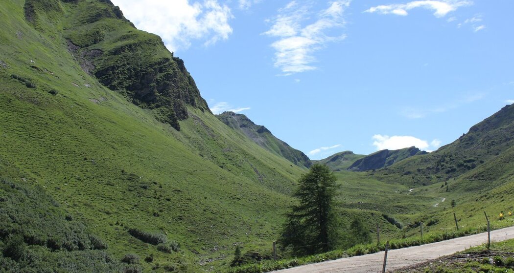 Alp Farur