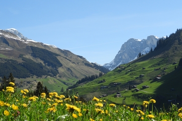 Grillnachmittag auf dem Aschariner-Untersäss (gdl_808368494_image)