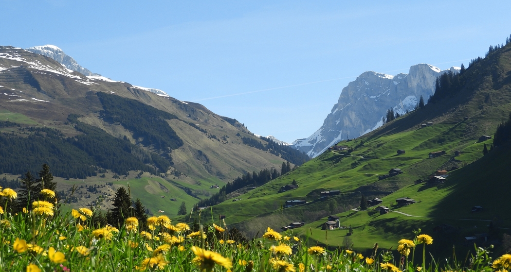 Grillnachmittag auf dem Aschariner-Untersäss (gdl_808368494_image)