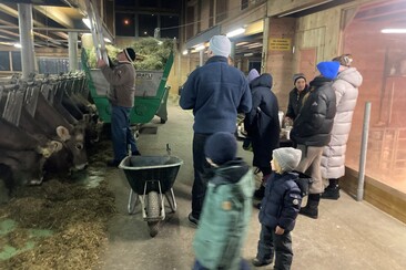 Stable visit and tasting of regional dairy products (gdl_810858665_image)