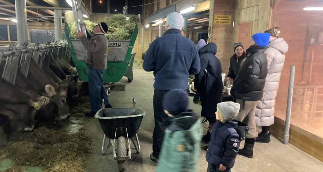 Stallvisite und Degustation regionaler Milchprodukte (gdl_810858665_image)