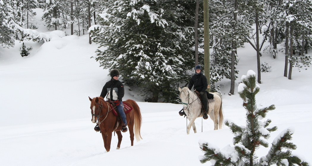 Ausritt für alle (gdl_810858685_image)