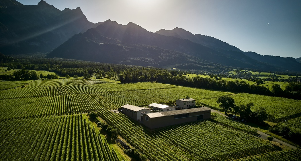 Führung und Degustation im Weingut Davaz (gdl_810858687_image)