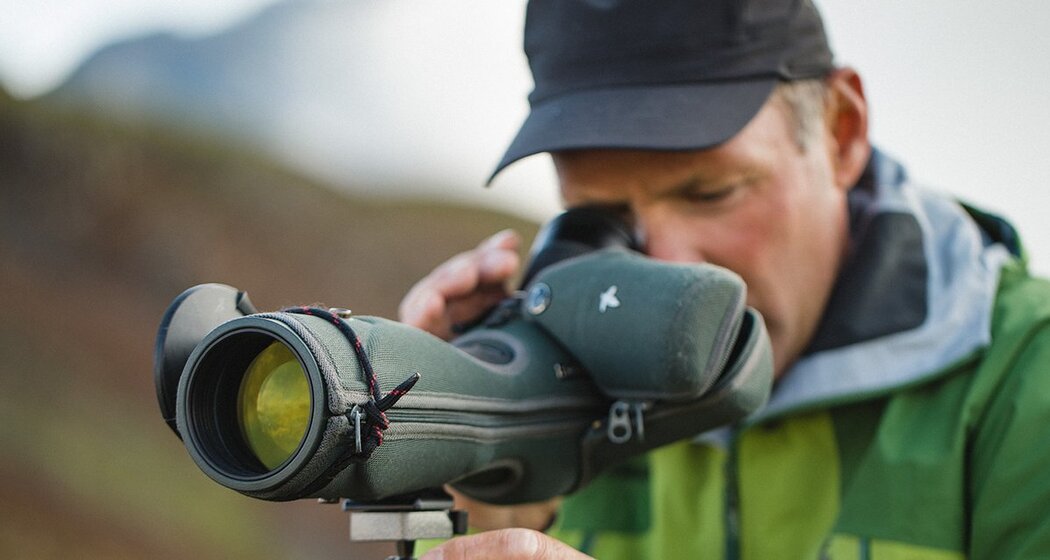 Steinwildbeobachtung Marangun - Sesvenna (gdl_810858710_image)