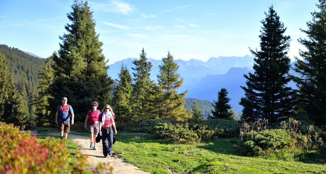 Kulinarik Tour: Genusswanderung...mit Pfiff! (gdl_810858735_image)