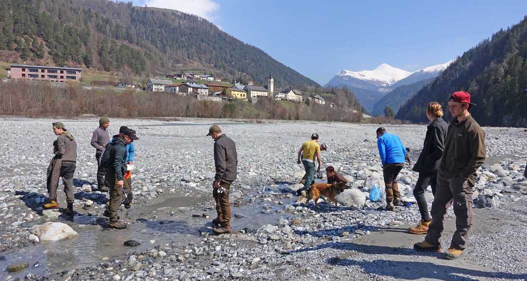 Clean up day (gdl_810858919_image)