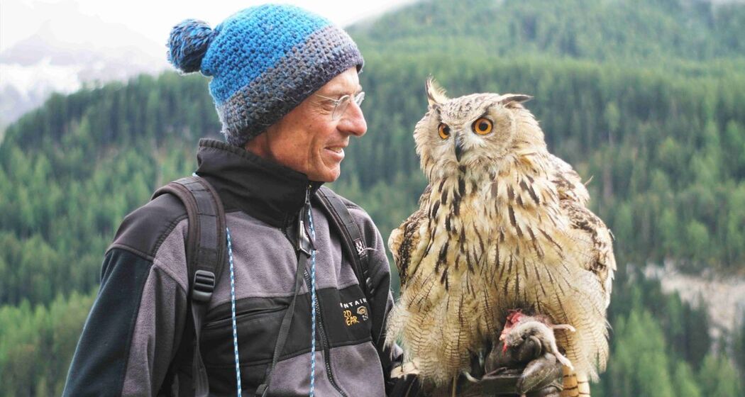 Mittwoch | Die faszinierende Welt von Uhu «Bubo» (gdl_810859109_image)