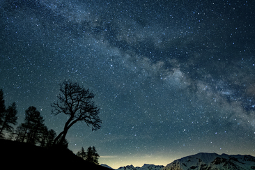 (G)astronomisches Erlebnis (gdl_810859151_image)