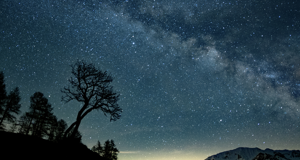 (G)astronomisches Erlebnis (gdl_810859151_image)