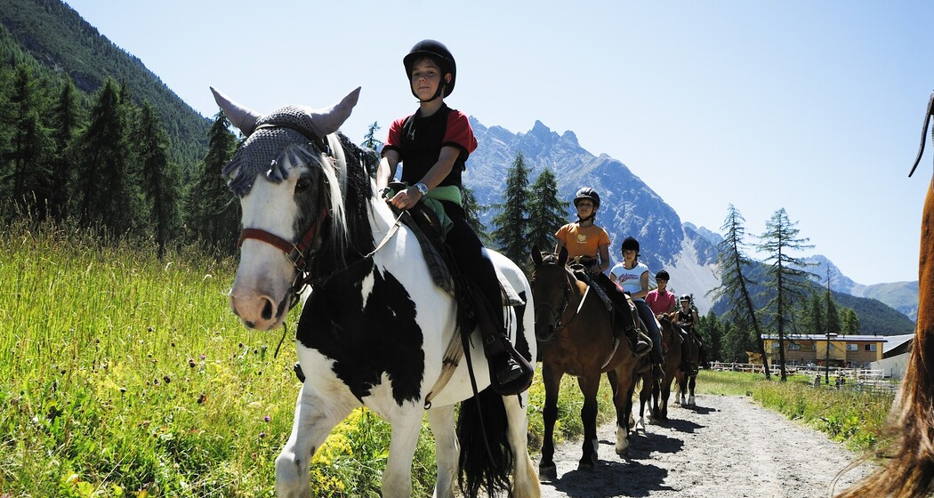 Ausritt für alle (gdl_810859163_image)