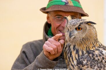 Mittwoch | Die faszinierende Welt von Uhu «Bubo» (gdl_810859575_image)