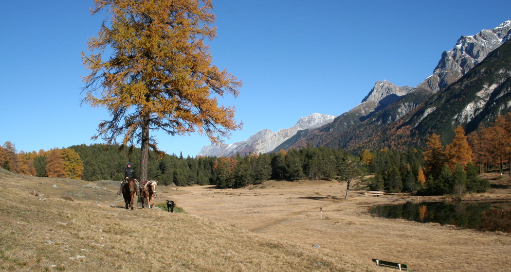 Tagesritt (gdl_810859615_image)