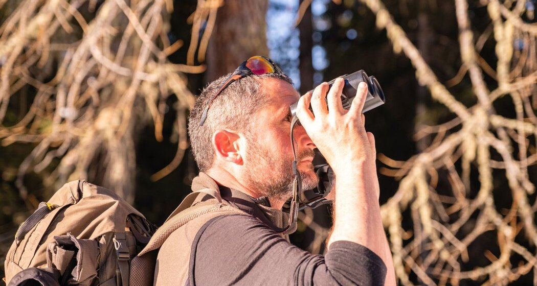 Der Anwalt der Tiere: Winterwanderung mit dem Wildhüter (gdl_810859650_image)