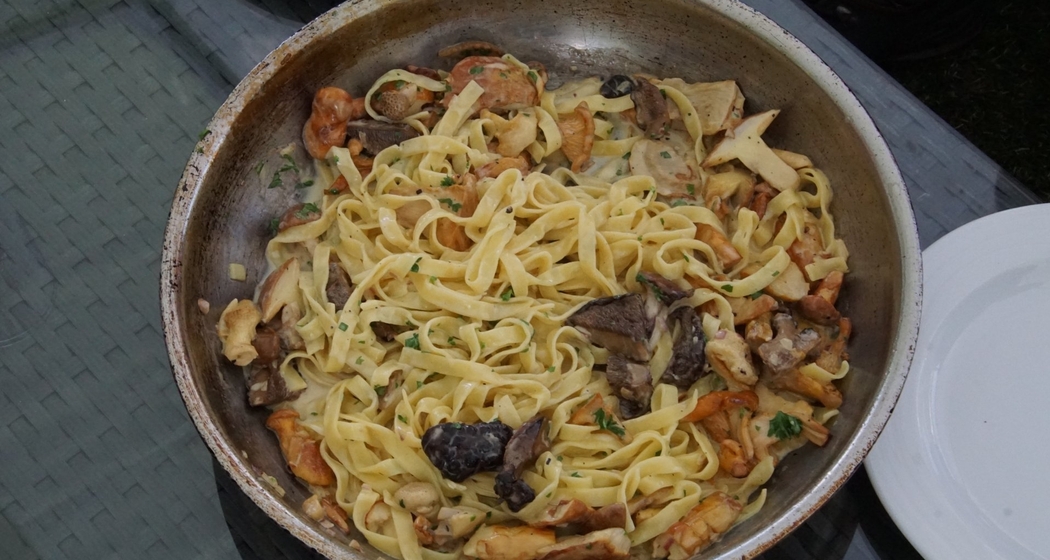 Pilzwanderung zu Lehrzwecken mit kulinarischem Höhepunkt (gdl_811837532_image)