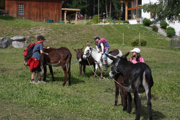 Eseltrekking (gdl_811932776_image)