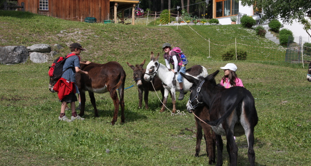 Eseltrekking (gdl_811932776_image)