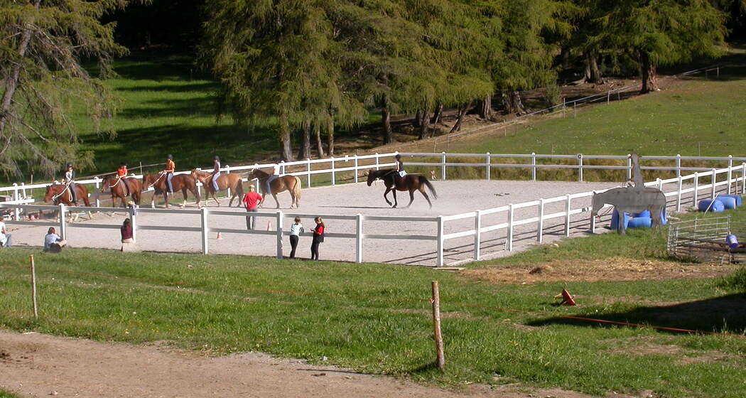 Reitunterricht für Fortgeschrittene (gdl_816312631_image)