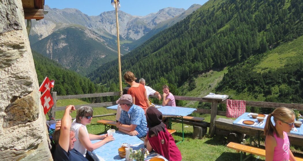 Alp Tavrü