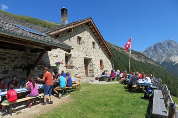 Alp Tavrü