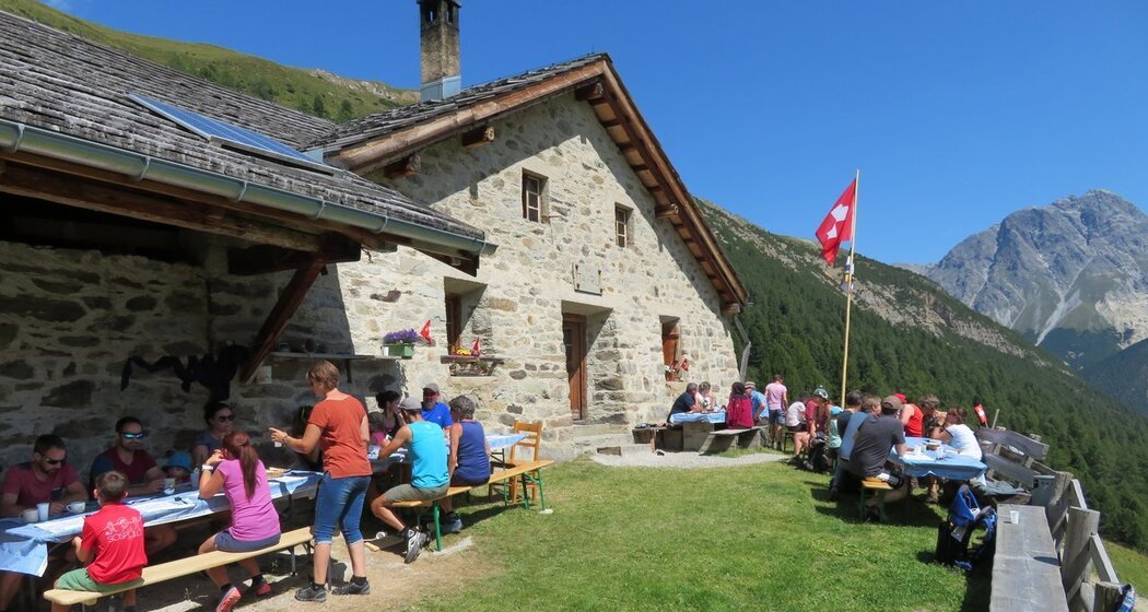 Alp Tavrü