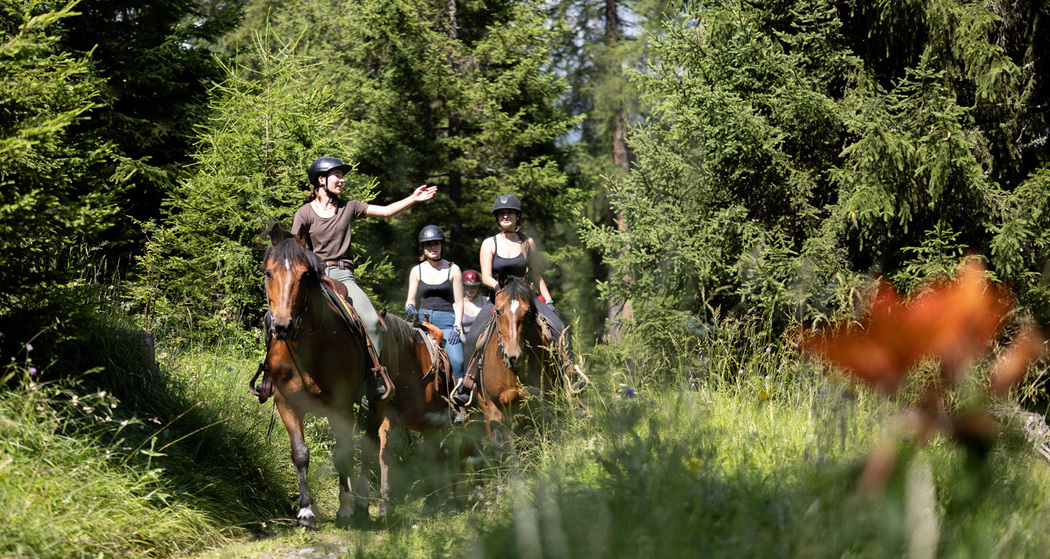 Ausritt für alle (gdl_819294428_image)