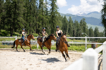 Reitunterricht für Fortgeschrittene (gdl_819294434_image)