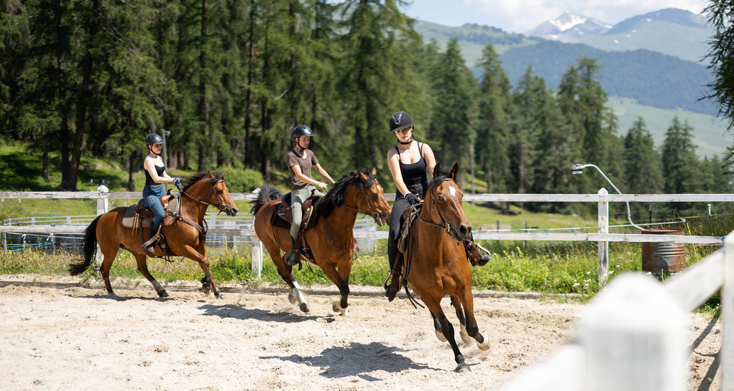 Reitunterricht für Fortgeschrittene (gdl_819294434_image)
