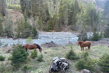 Hüttentrekking Val d'Uina (gdl_820285799_image)