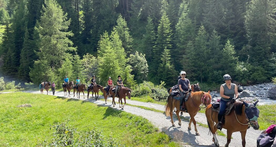 3 Tagesritt nach Val Sinestra und Tschlin (gdl_820285808_image)