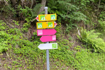 "Aktiv a Glion" - ein Erlebnistag rund um Ilanz (gdl_827104484_image)