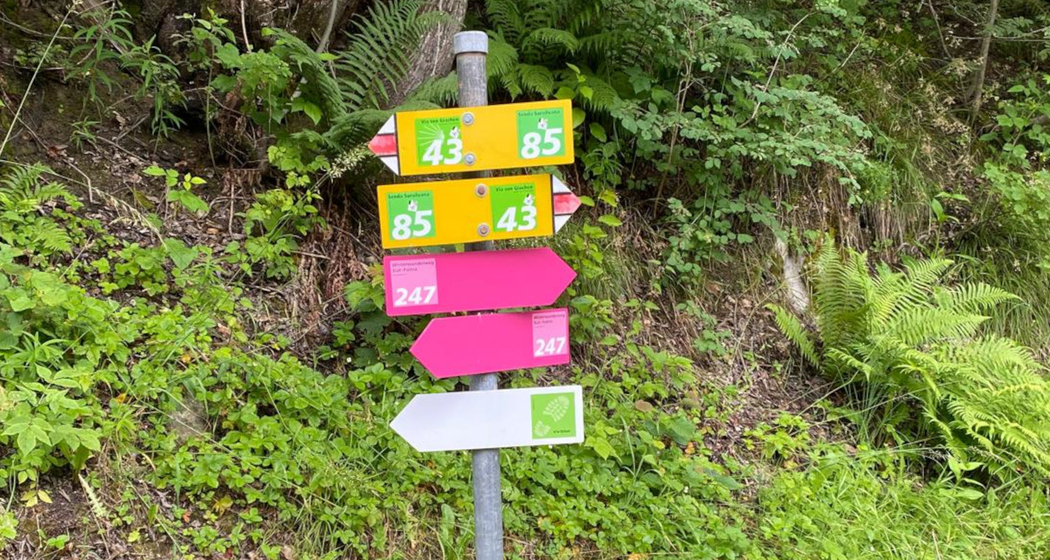 "Aktiv a Glion" - ein Erlebnistag rund um Ilanz (gdl_827104484_image)