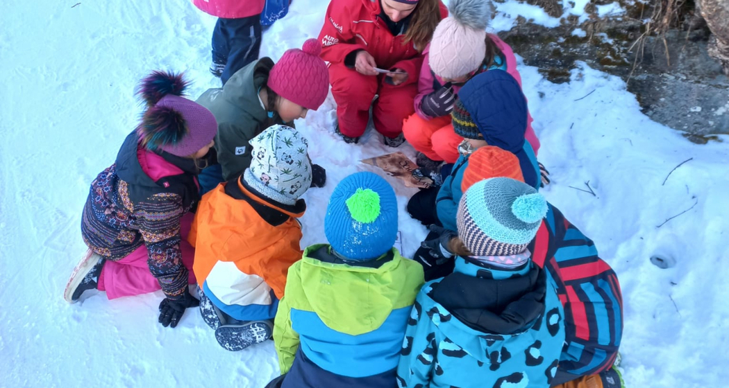 Schatzsuche in Obersaxen-Chummenbühl (gdl_827656788_image)