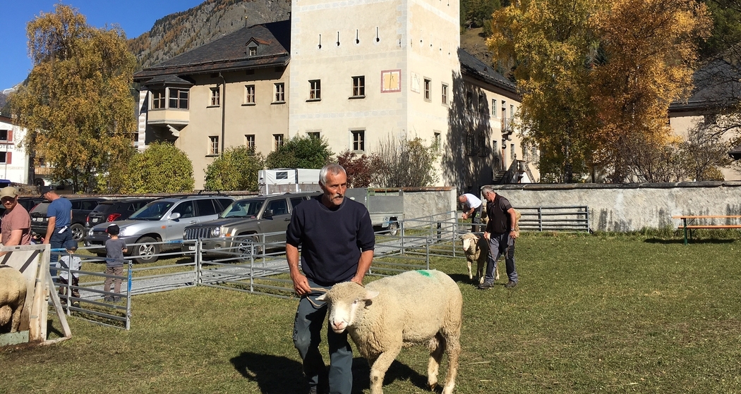Südbündner Vieh- und Warenmarkt (gdl_828838733_image)