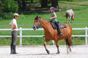 Reitstunde Halbprivat 40 min (gdl_829416240_image)
