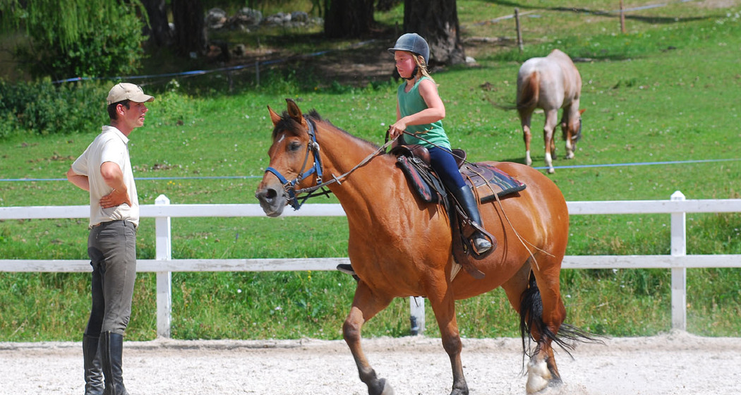Reitstunde Halbprivat 40 min (gdl_829416240_image)