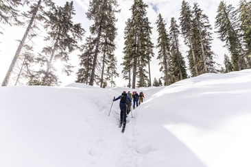 Skitouren für Anfänger*innen und Fortgeschrittene (gdl_833519810_image)